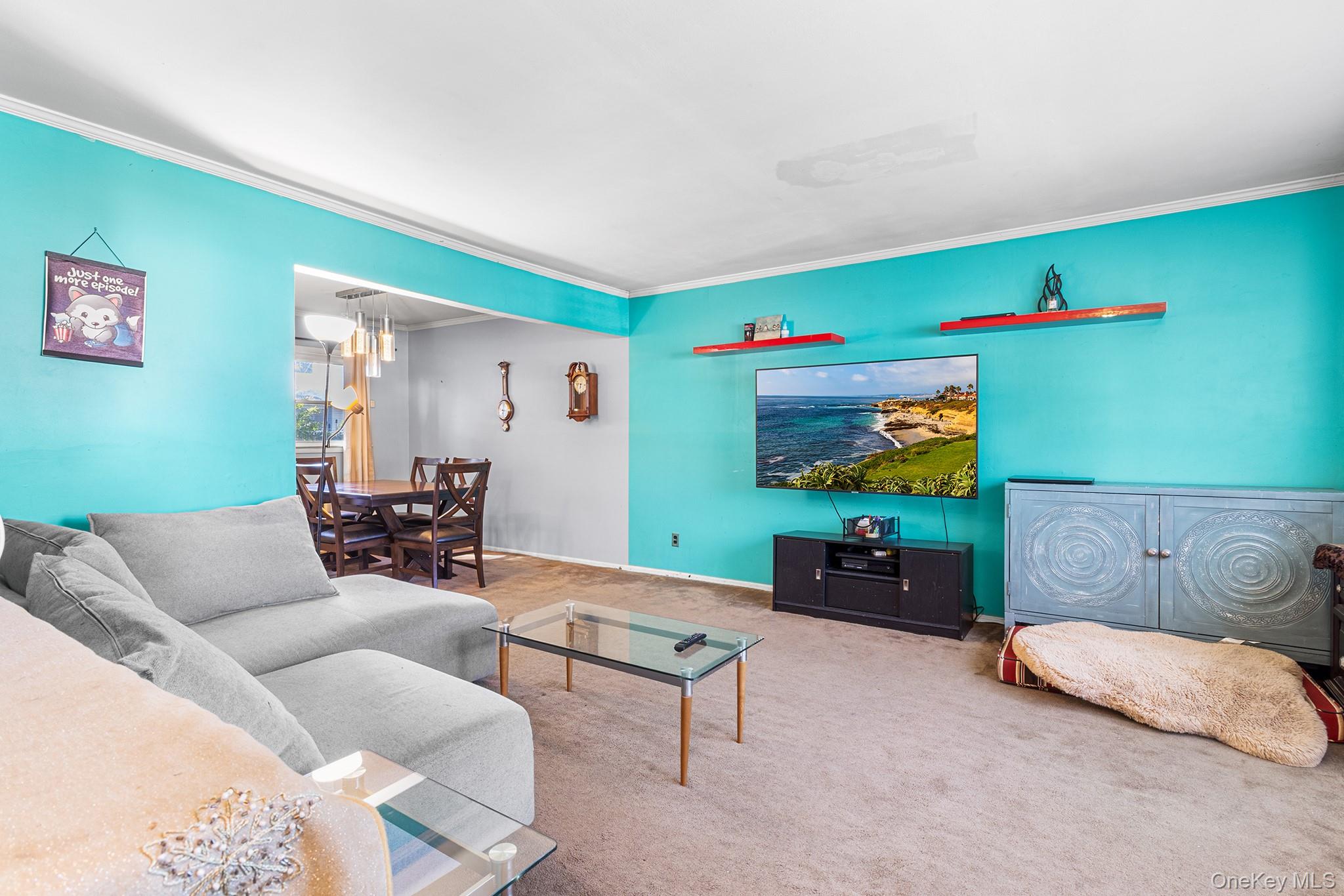 #3 photo, 500 Willow Street, ナッソー郡 South Hempstead , NY 11550