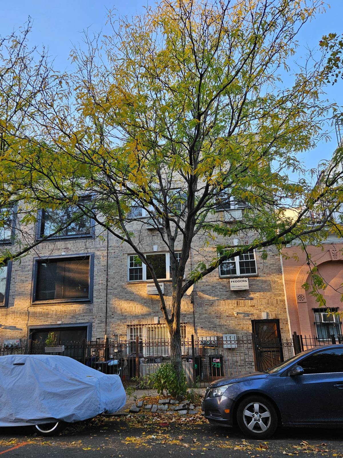 #1 photo, 733 Monroe, Apt # 1, ブルックリン区 Bedford-Stuyvesant , NY 11221