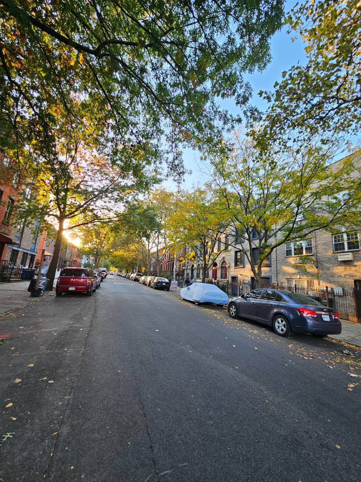 #14 photo, 733 Monroe, Apt # 1, ブルックリン区 Bedford-Stuyvesant , NY 11221