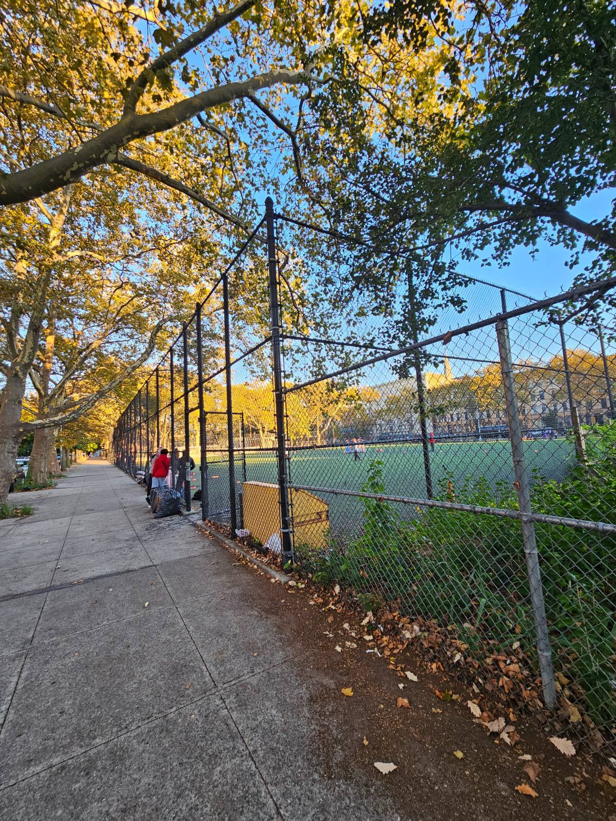 #15 photo, 733 Monroe, Apt # 1, ブルックリン区 Bedford-Stuyvesant , NY 11221