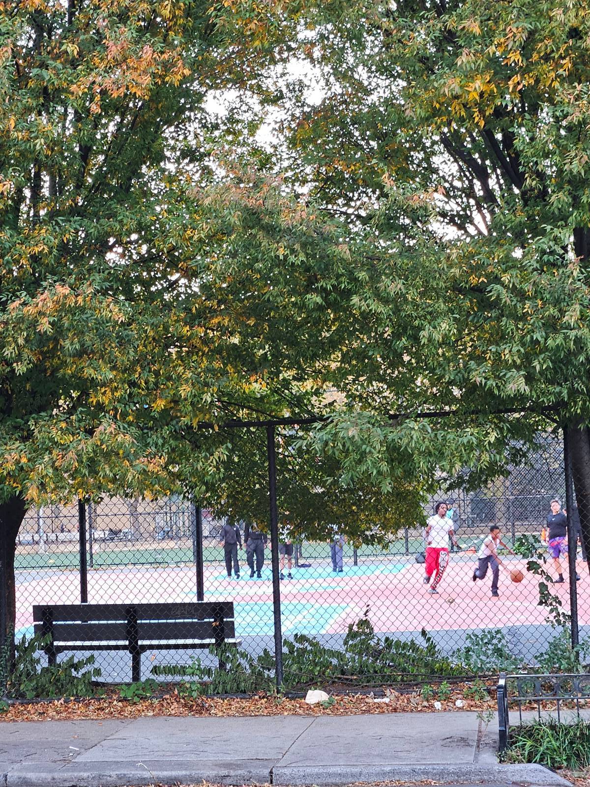 #18 photo, 733 Monroe, Apt # 1, ブルックリン区 Bedford-Stuyvesant , NY 11221