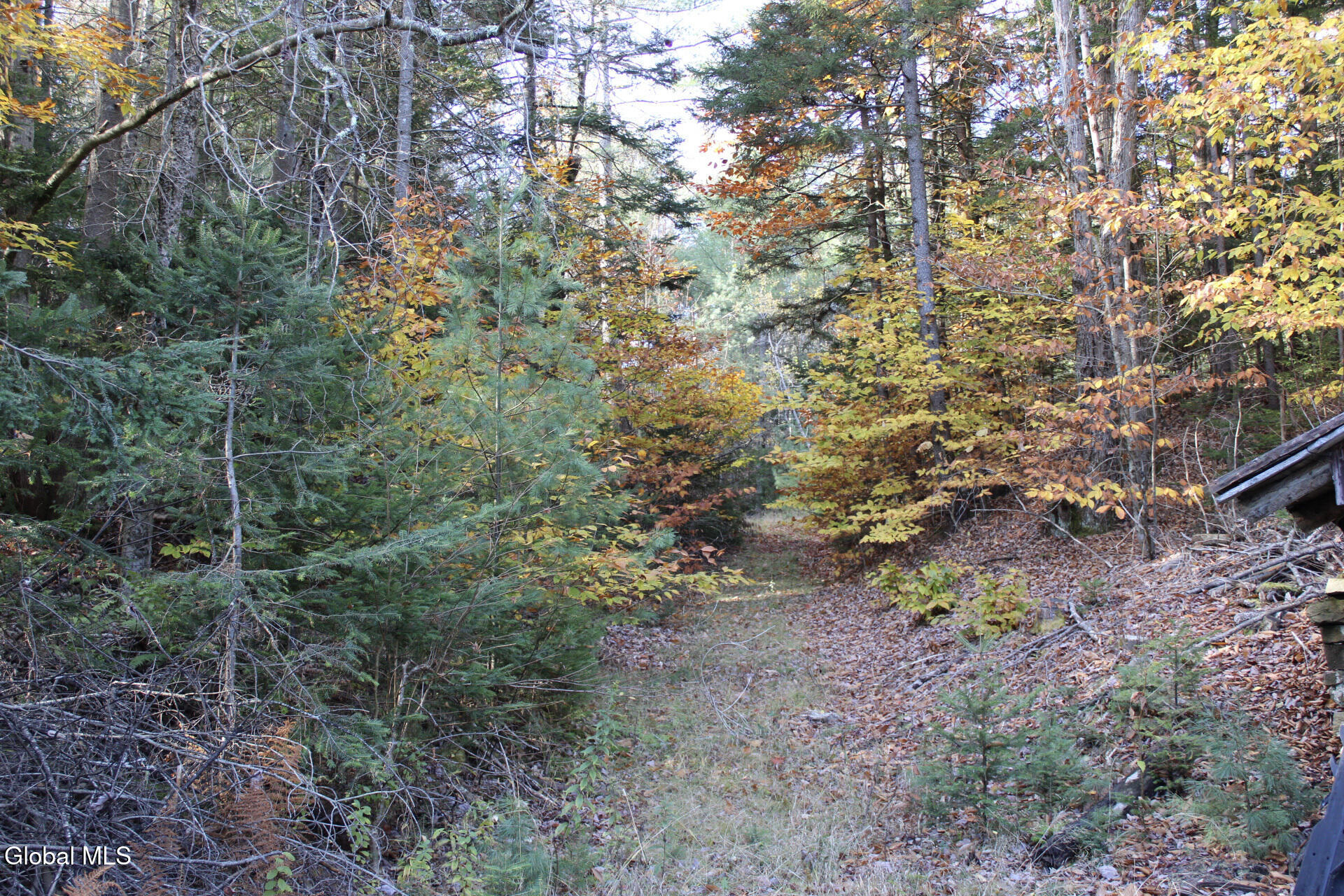 #16 photo, L10 Harrisburg Road, Stony Creek , NY 12878