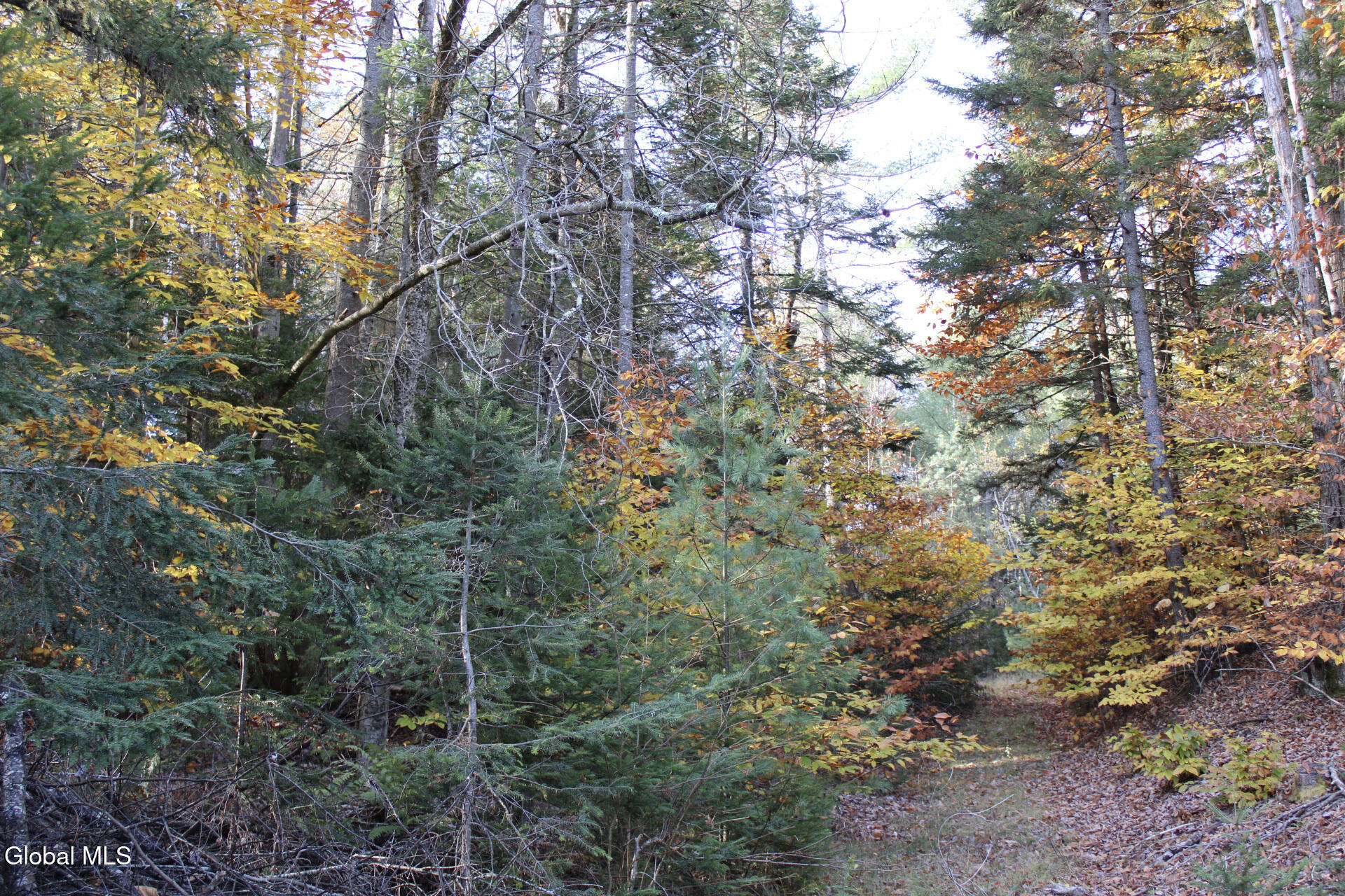 #17 photo, L10 Harrisburg Road, Stony Creek , NY 12878