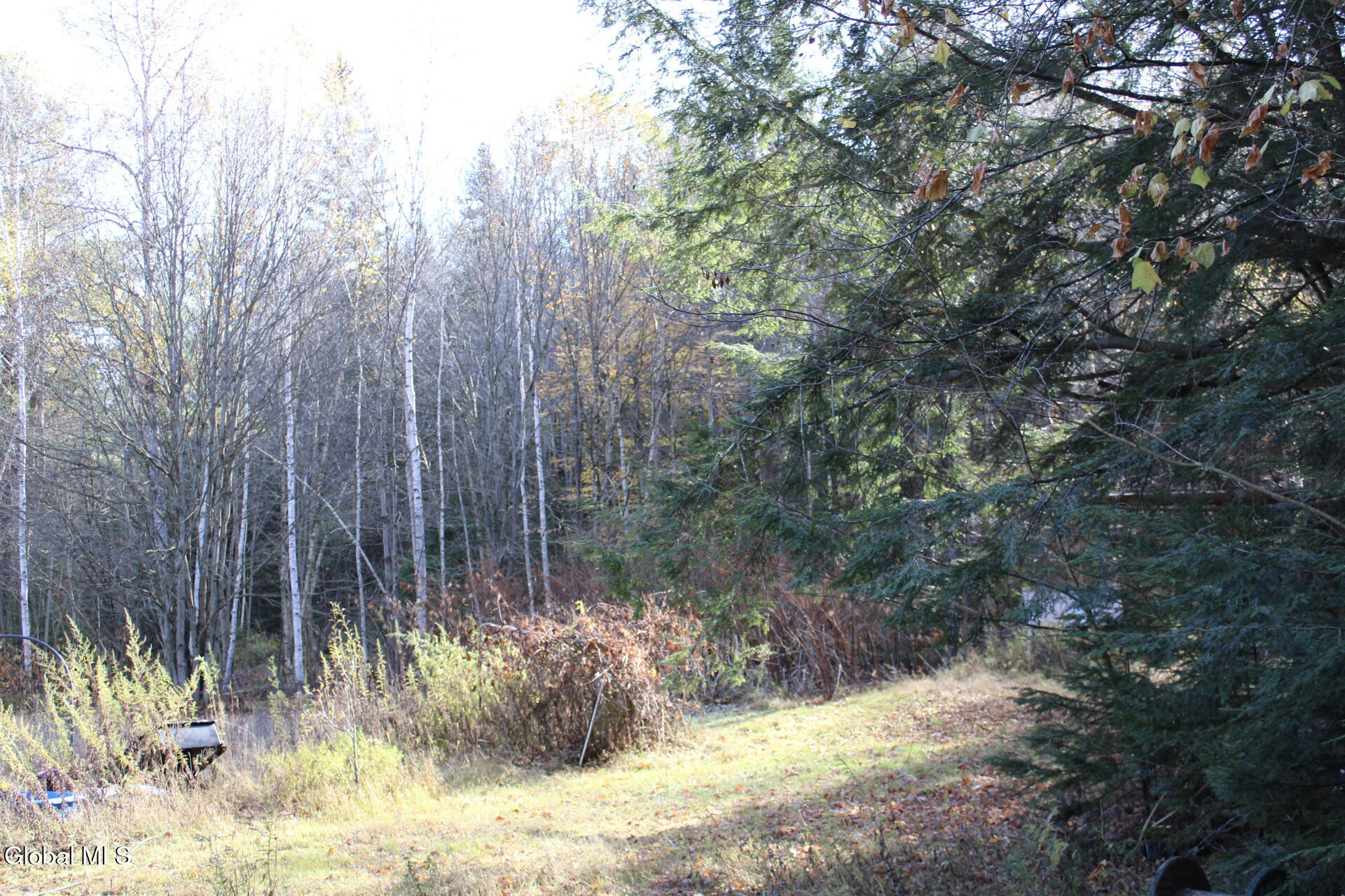 #18 photo, L10 Harrisburg Road, Stony Creek , NY 12878