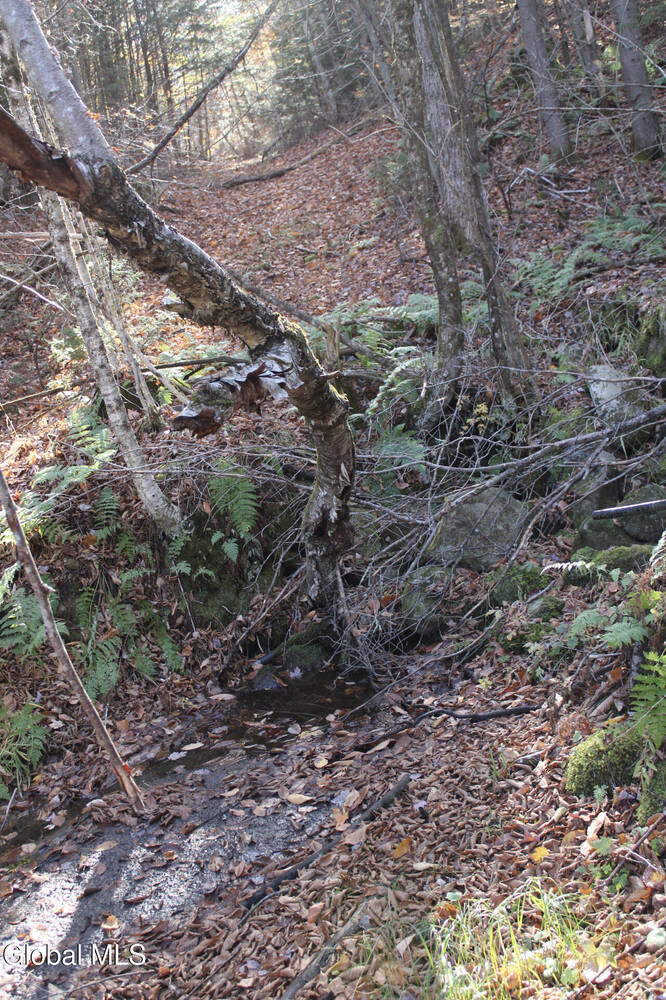 #19 photo, L10 Harrisburg Road, Stony Creek , NY 12878