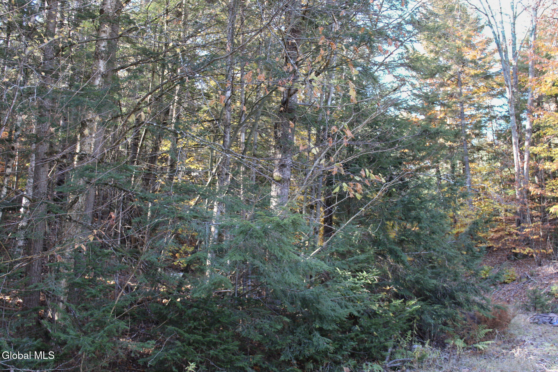 #21 photo, L10 Harrisburg Road, Stony Creek , NY 12878