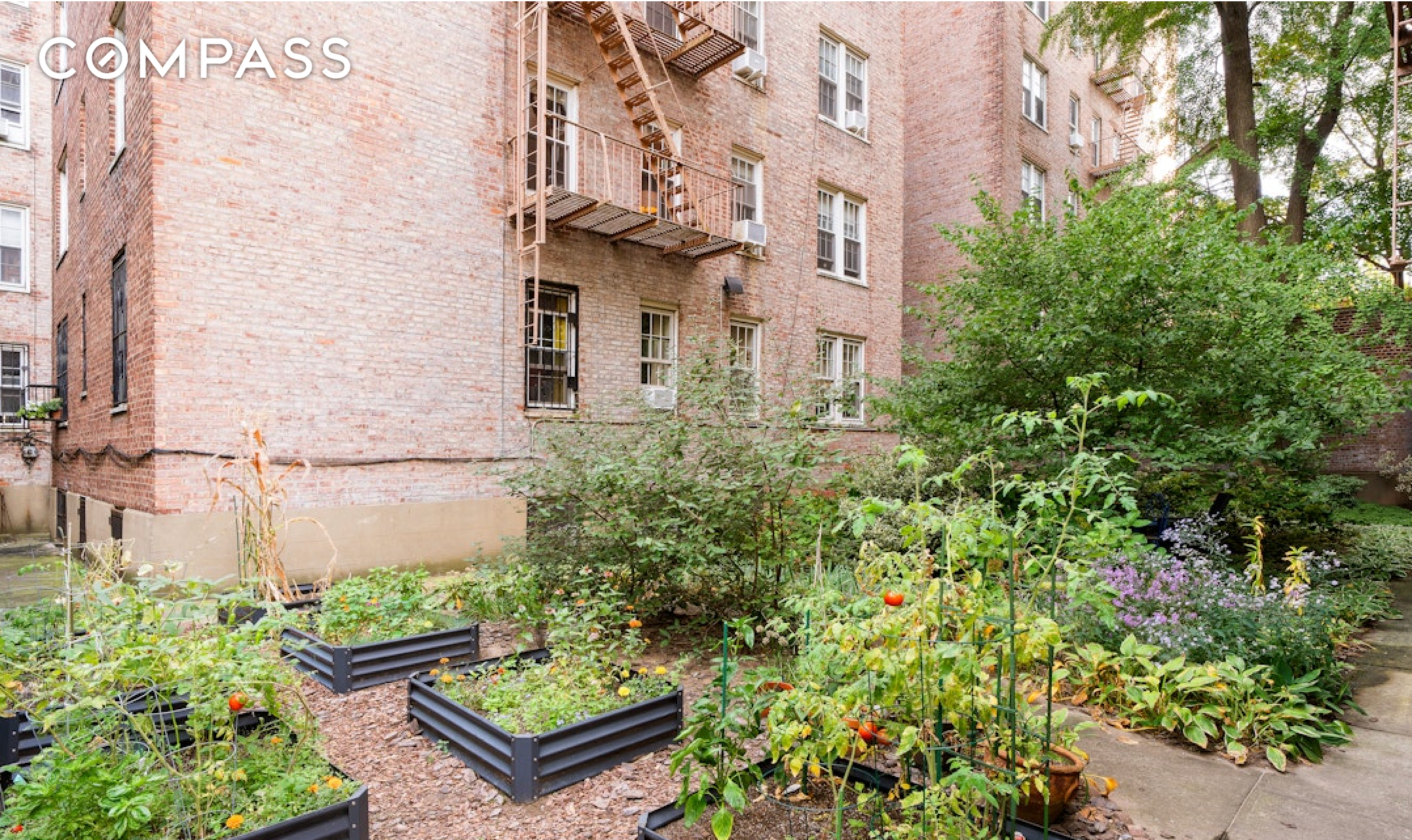 #10 photo, 360 Clinton Avenue, ブルックリン区 Clinton Hill , NY 11238