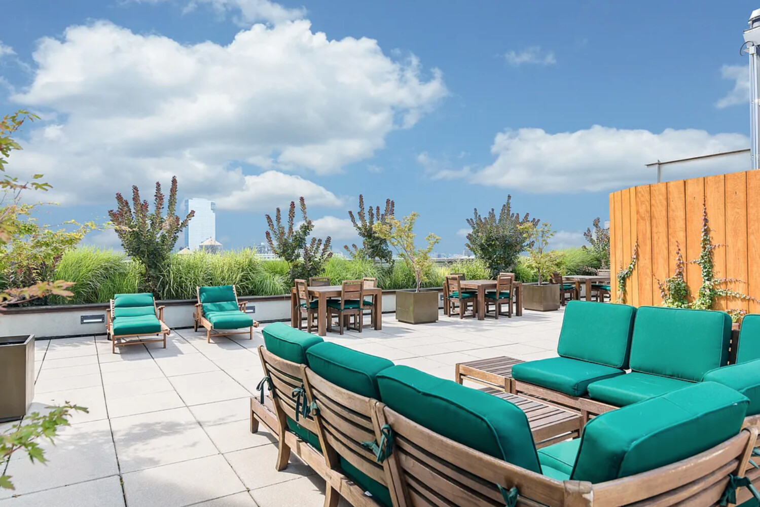 #8 photo, 225 LAFAYETTE Street, マンハッタン Nolita , NY 10012