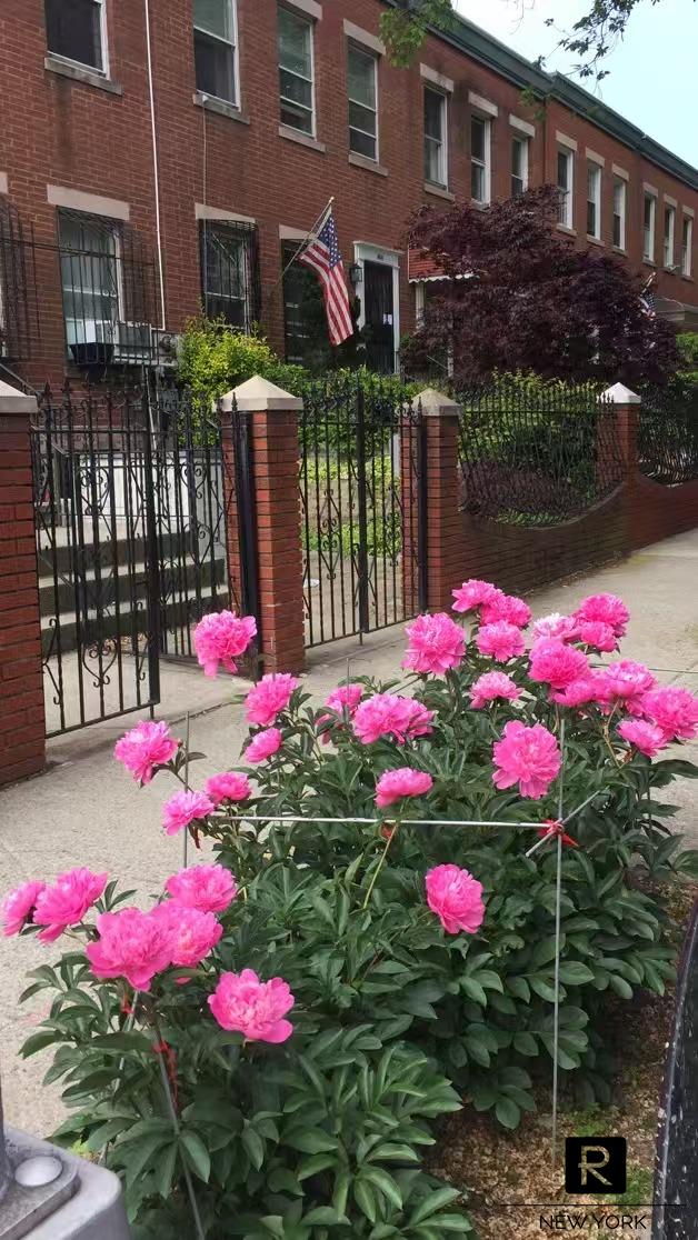 #1 photo, Brooklyn, ブルックリン区 East Williamsburg , NY 11211