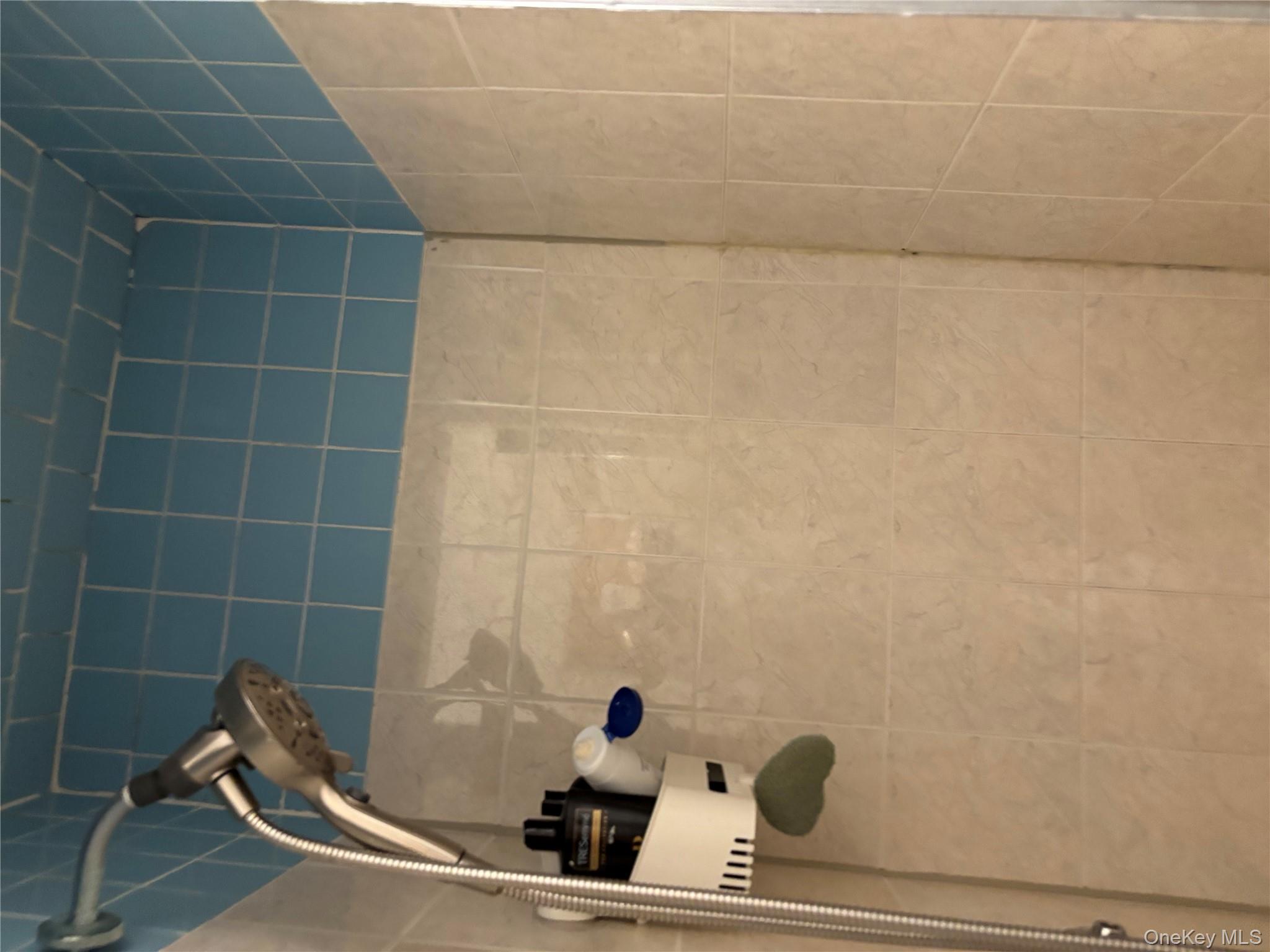 #8 photo, 104-71 109 St, クイーンズ区 South Ozone Park , NY 11419