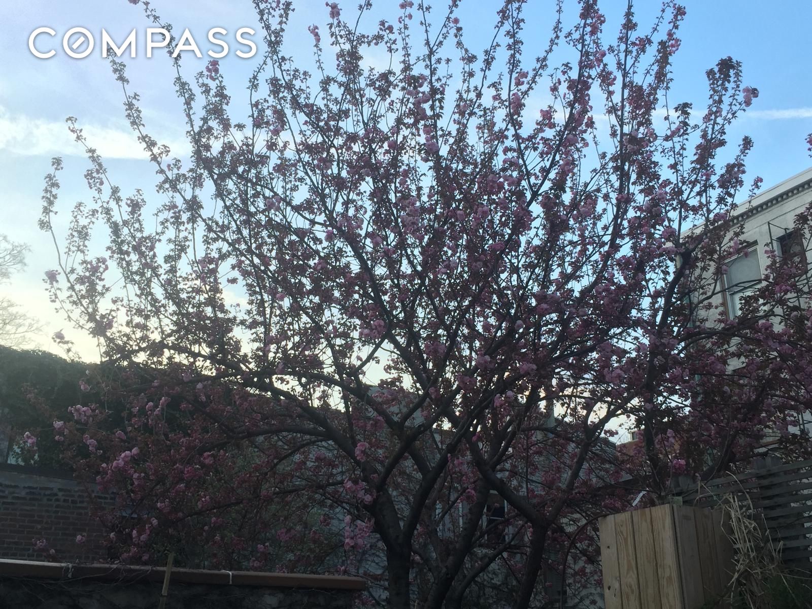 #12 photo, 56 Bergen Street, Cobble Hill , NY 11201