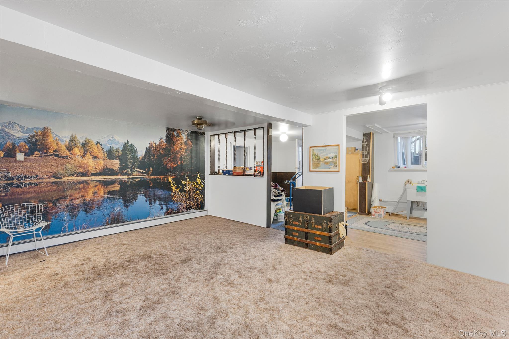 #20 photo, 168A N Oak Street, Massapequa , NY 11758