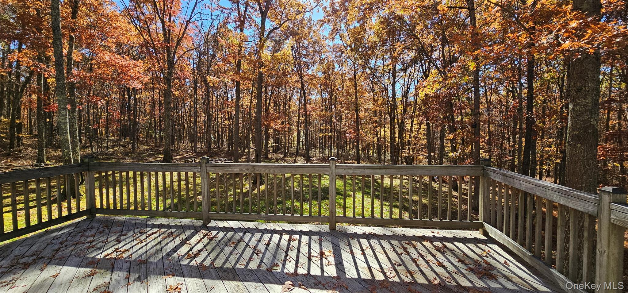 #18 photo, 323 Cushetunk Drive, Cochecton , NY 12726