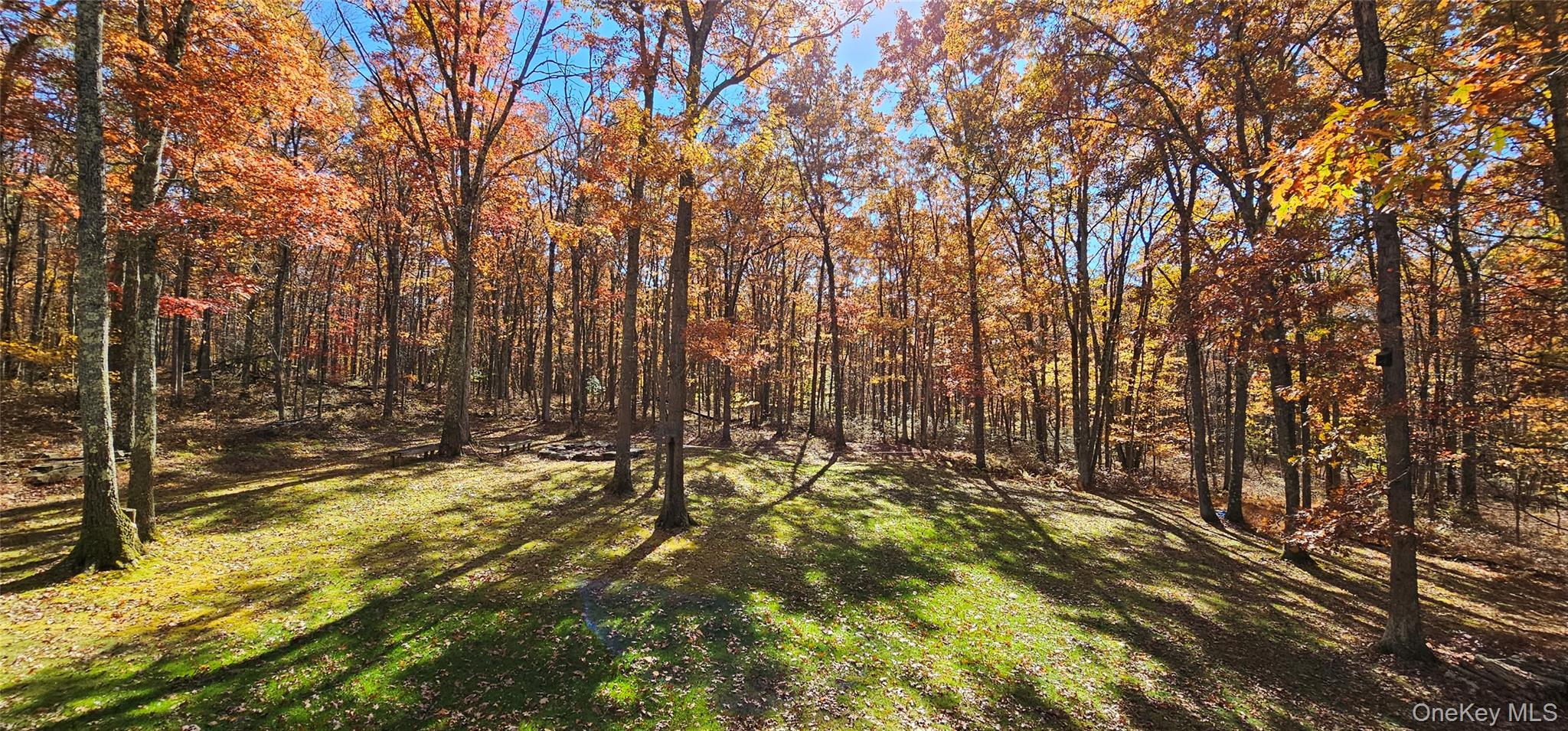 #19 photo, 323 Cushetunk Drive, Cochecton , NY 12726