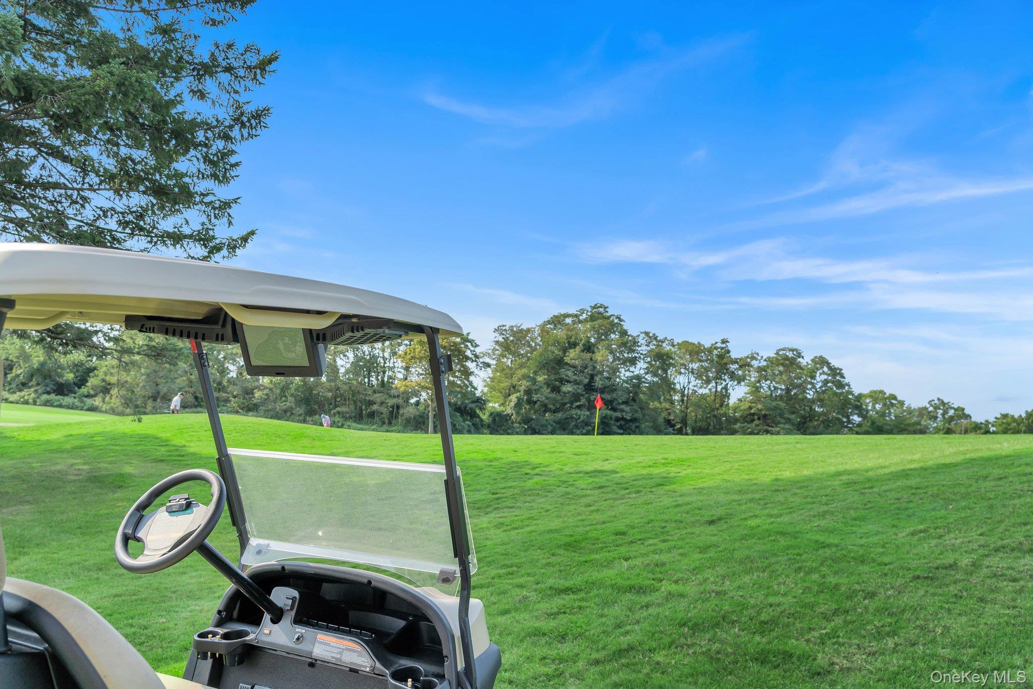 #17 photo, 27010 Grand Central Parkway, クイーンズ区 Floral Park , NY 11005