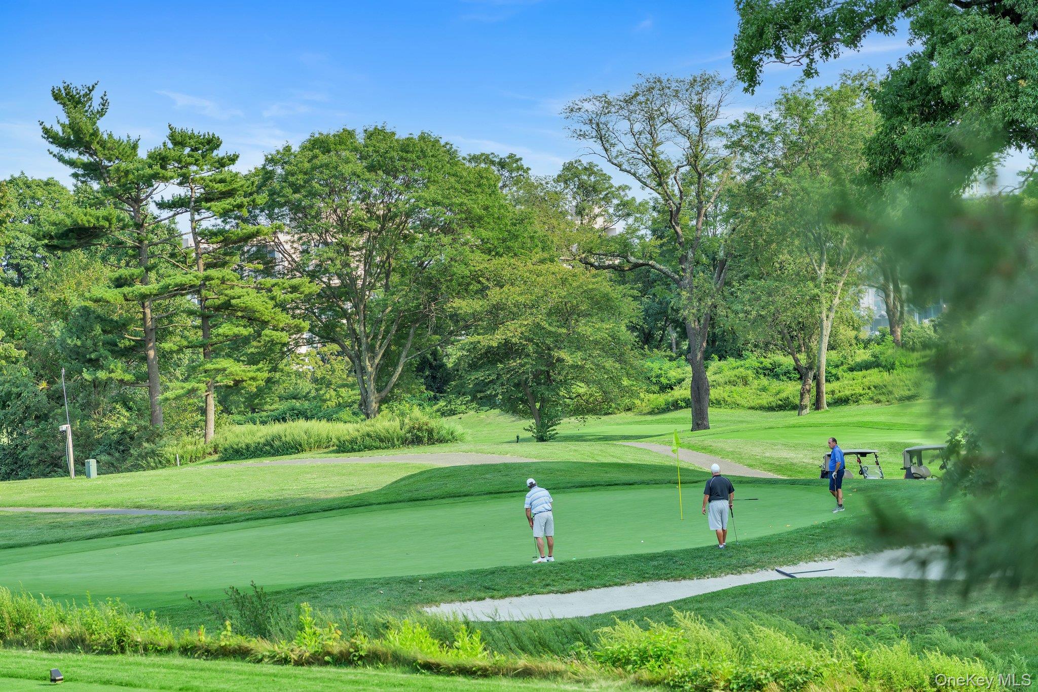 #18 photo, 27010 Grand Central Parkway, クイーンズ区 Floral Park , NY 11005