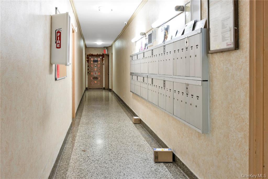 #12 photo, 2717 E 28th Street, ブルックリン区 Brooklyn , NY 11235