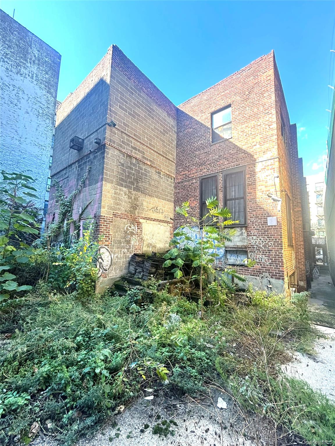 #2 photo, 1570 Walton Avenue, ブロンクス区 Bronx , NY 10452