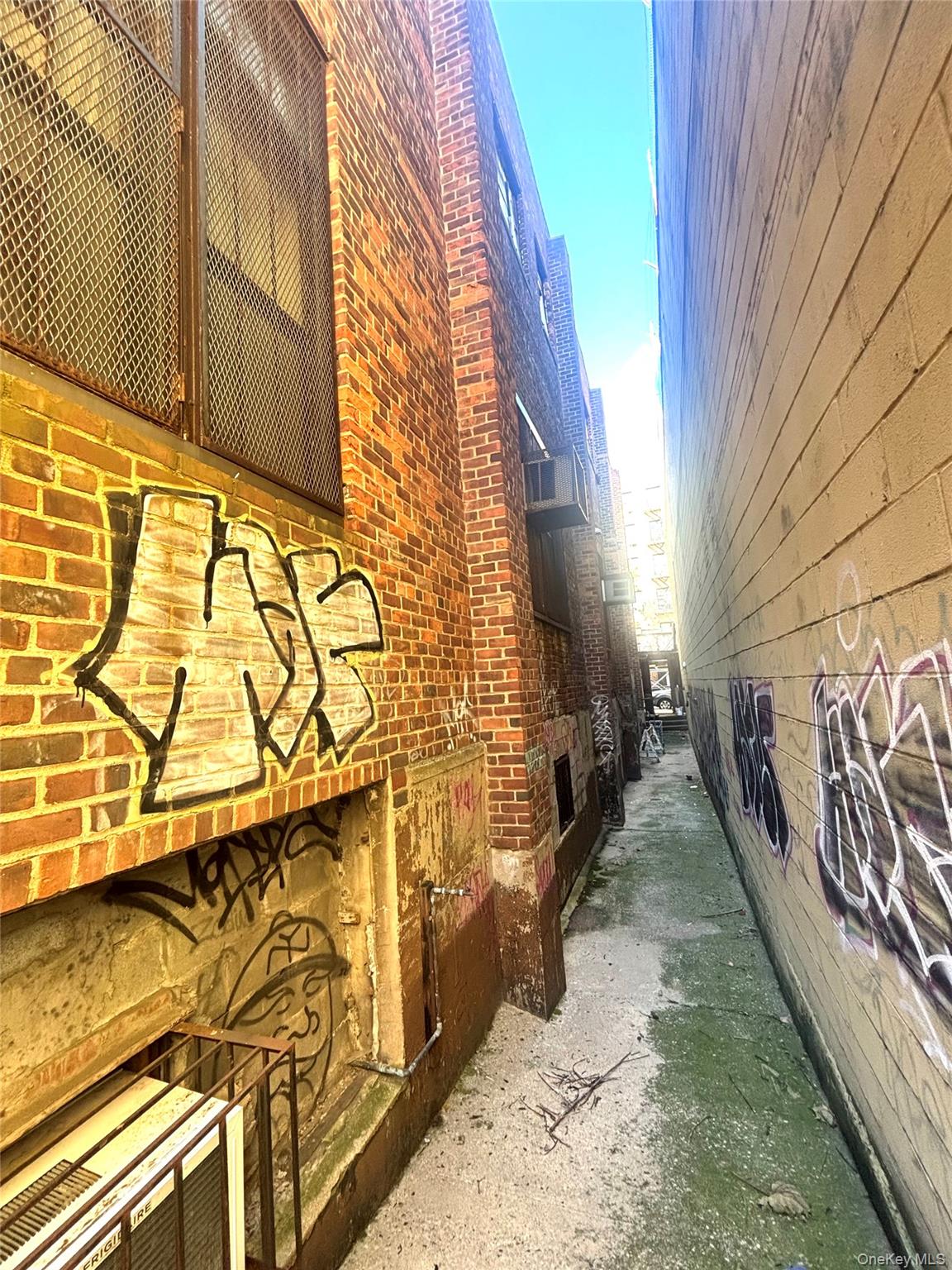 #3 photo, 1570 Walton Avenue, ブロンクス区 Bronx , NY 10452