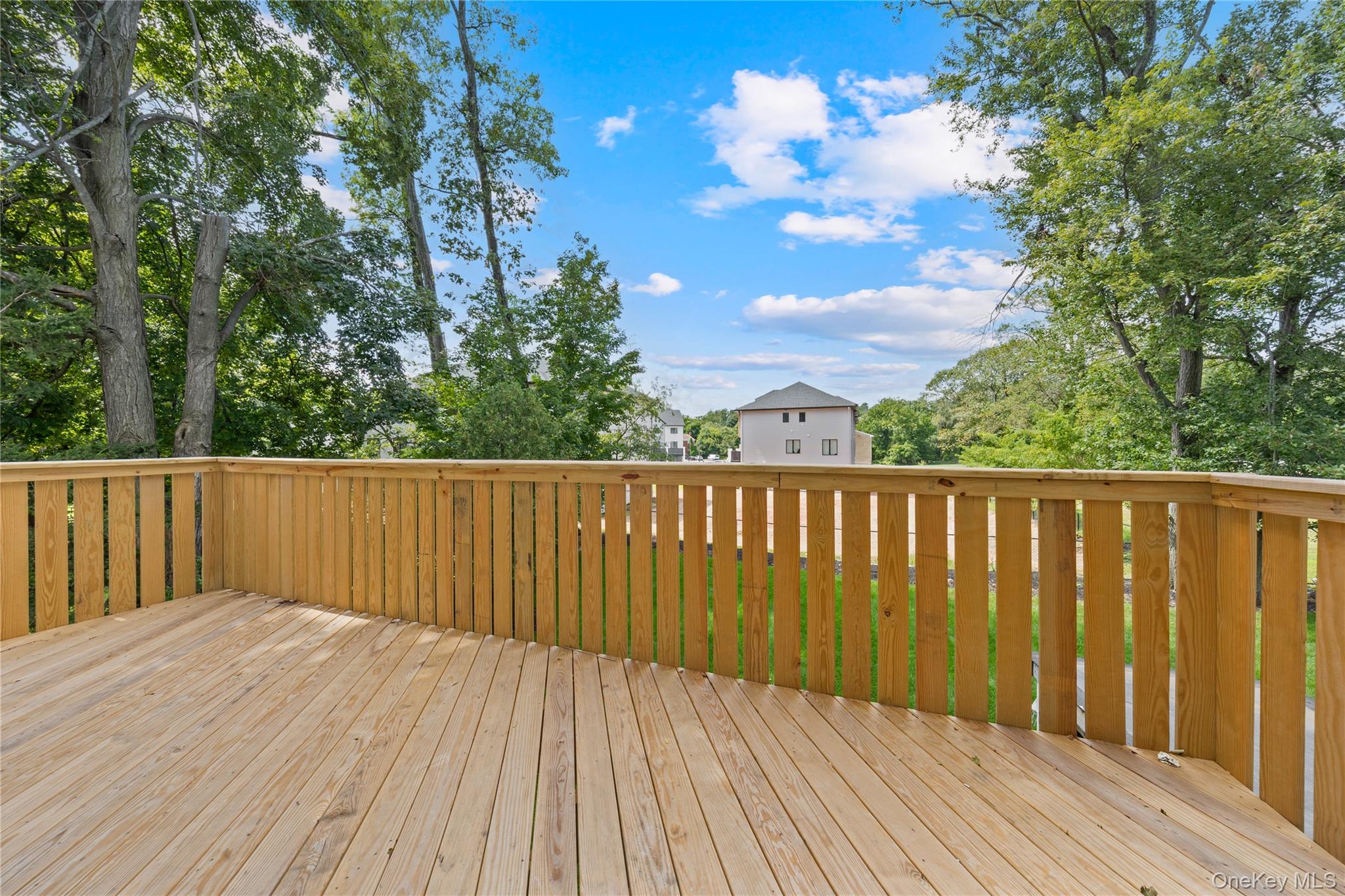 #18 photo, 115 S Madison Avenue, Spring Valley , NY 10977