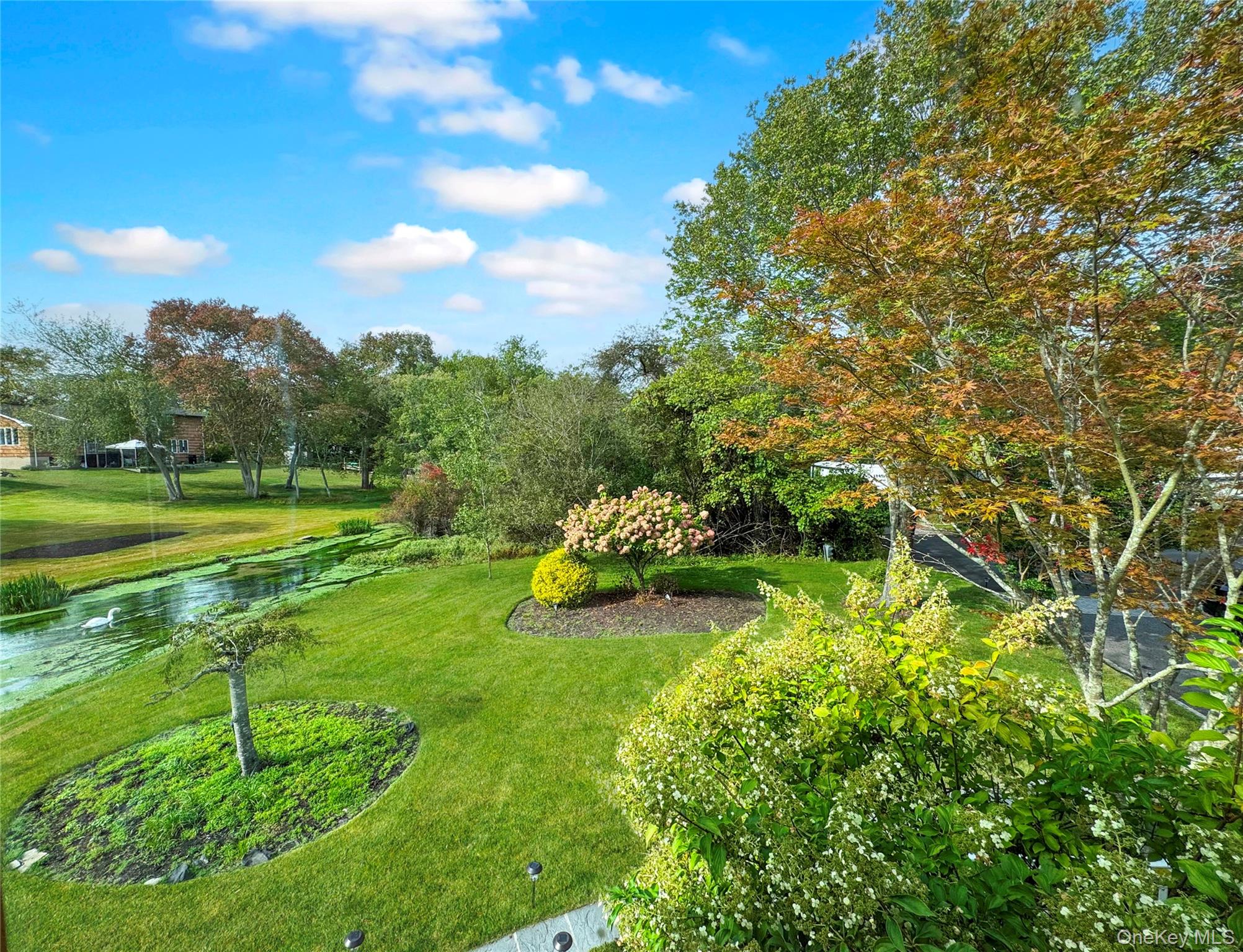 #20 photo, East Patchogue, East Patchogue , NY 11772