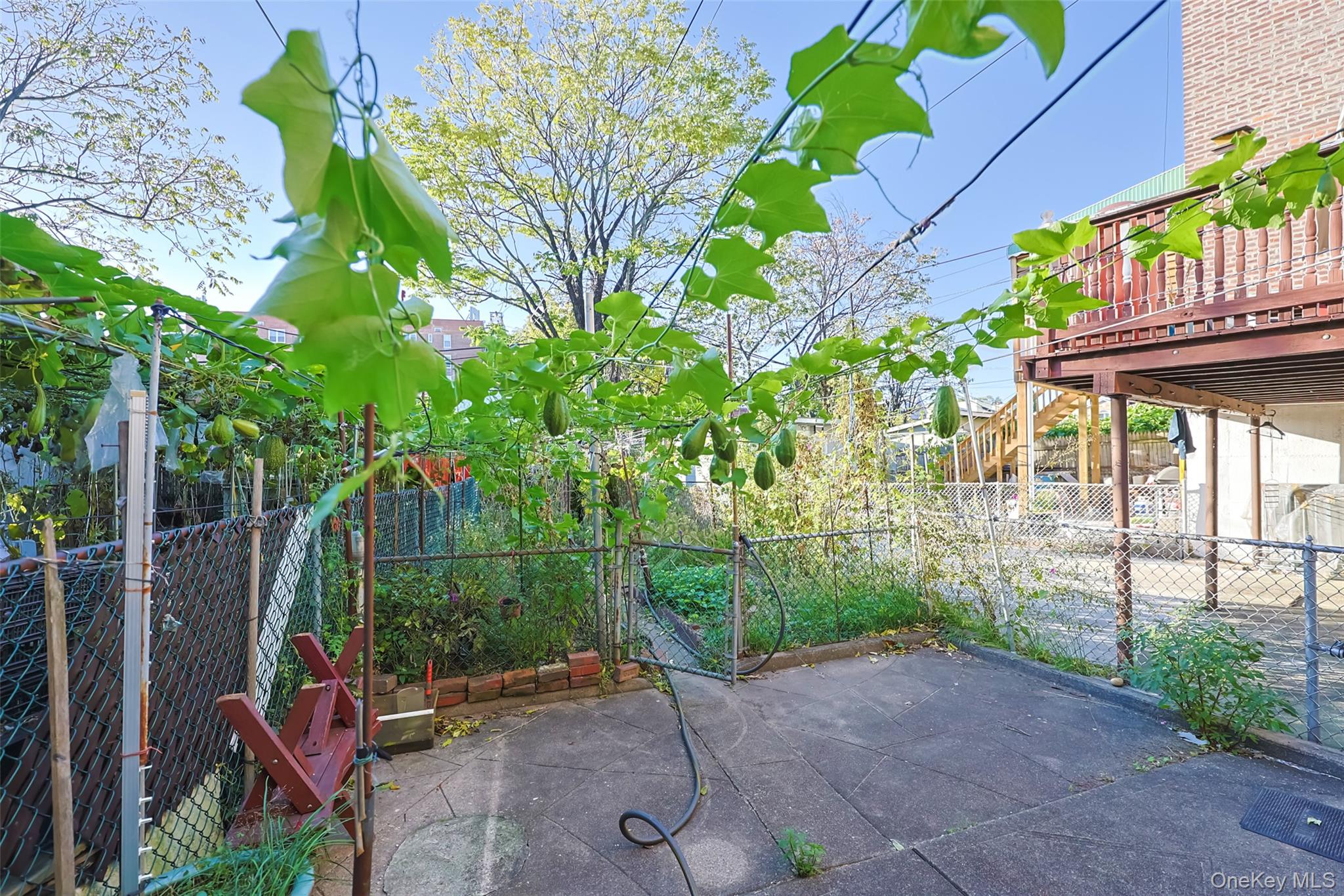 #11 photo, 34-34 62nd Street, Woodside , NY 11377