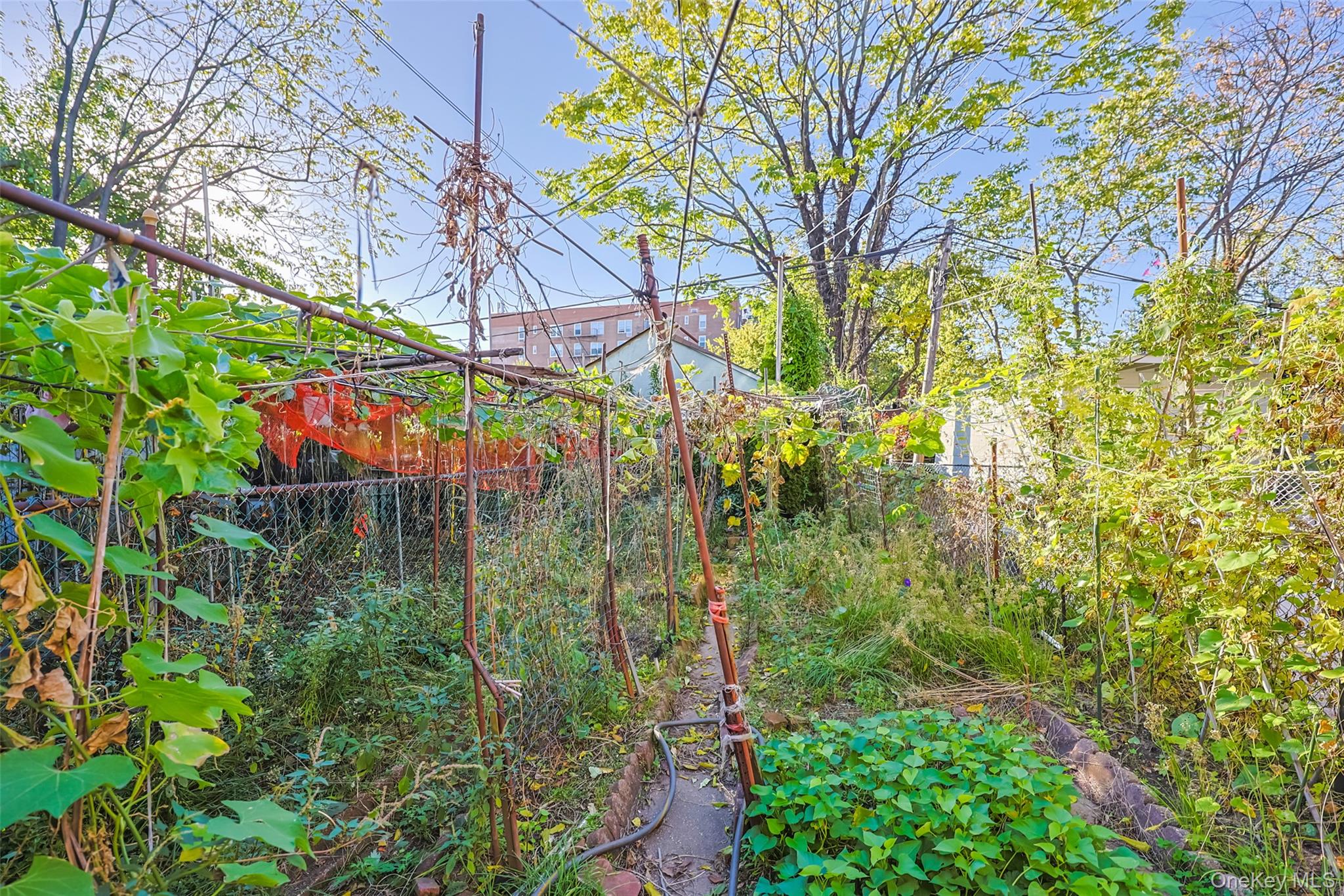 #13 photo, 34-34 62nd Street, קווינס Woodside , NY 11377