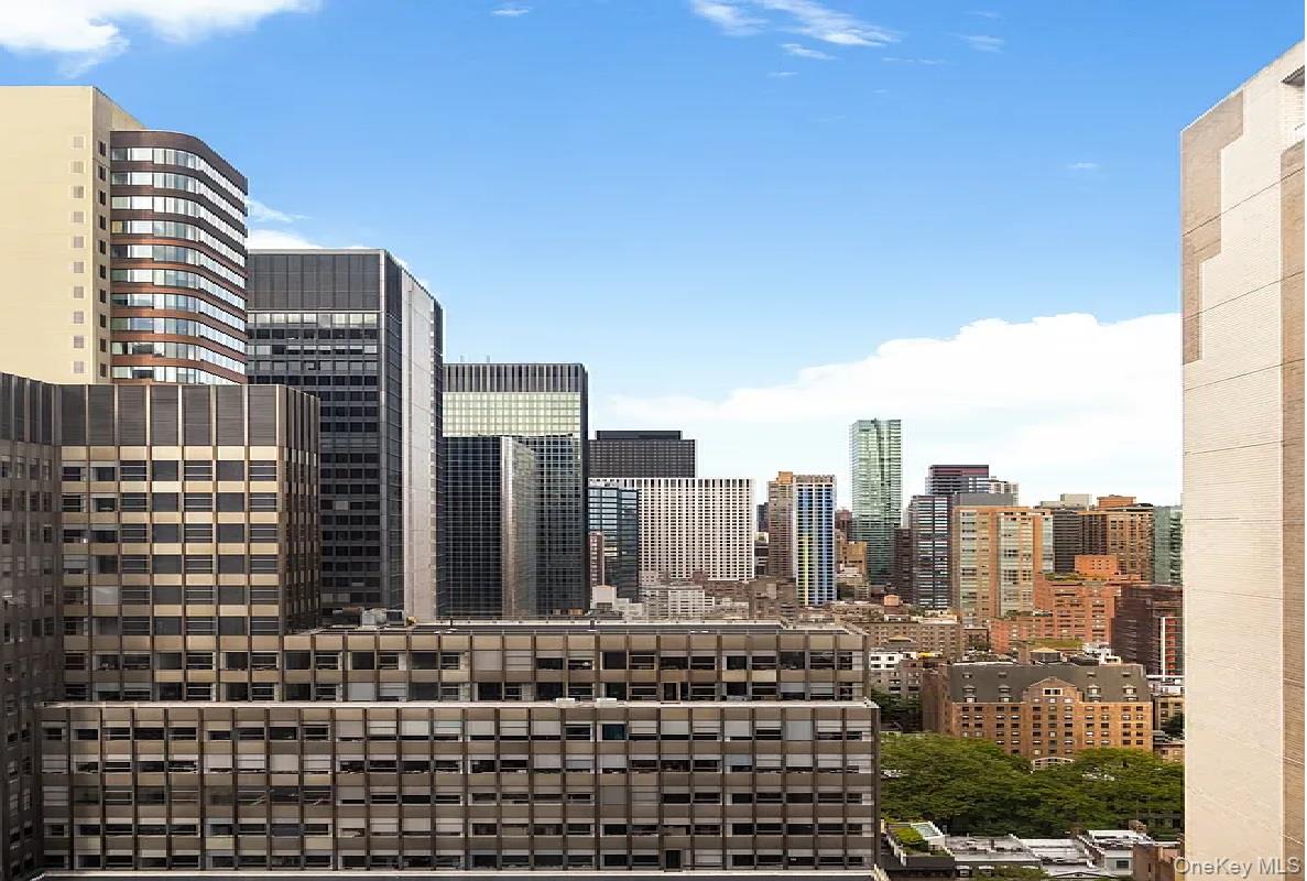 #9 photo, 212 East 47th st, マンハッタン New York (Manhattan) , NY 10017