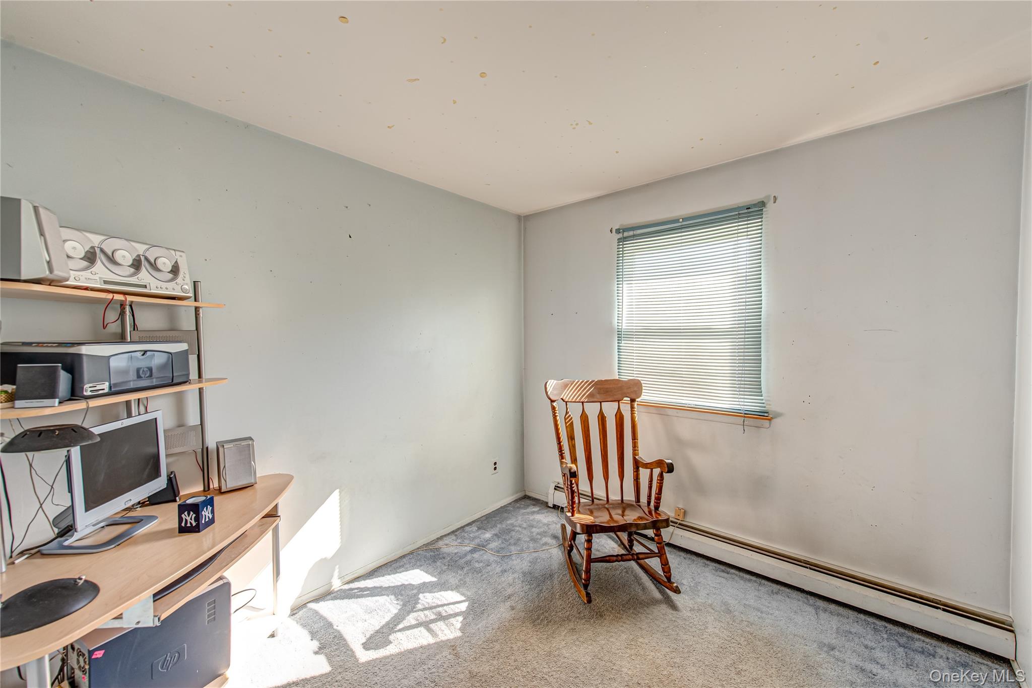 #13 photo, 23 Wyandotte Street, サフォーク郡 Selden , NY 11784