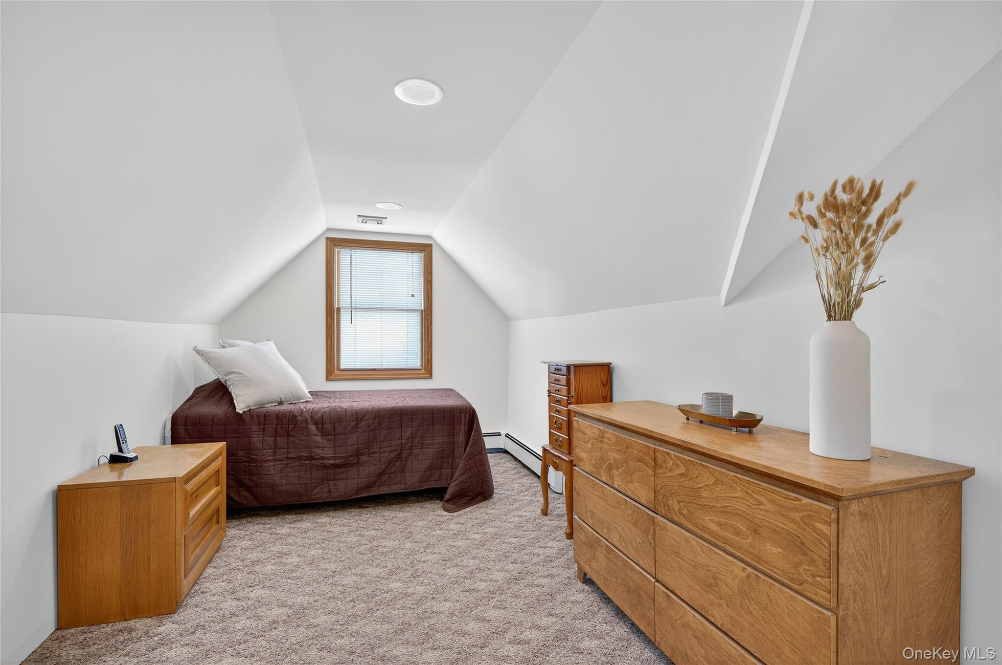 #19 photo, 242 James Street, ナッソー郡 Franklin Square , NY 11010