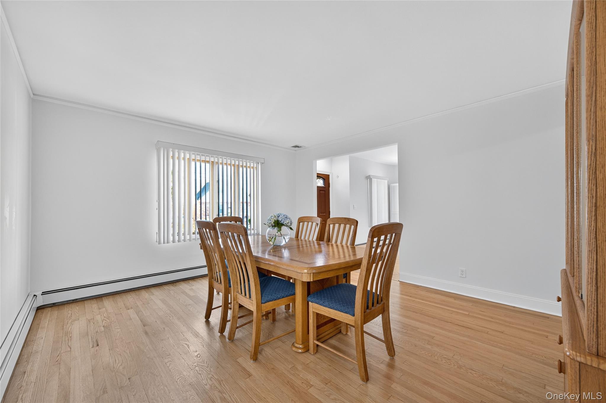 #3 photo, 242 James Street, ナッソー郡 Franklin Square , NY 11010