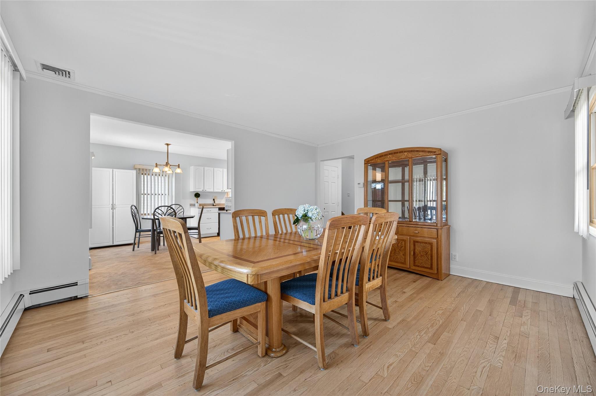 #4 photo, 242 James Street, ナッソー郡 Franklin Square , NY 11010