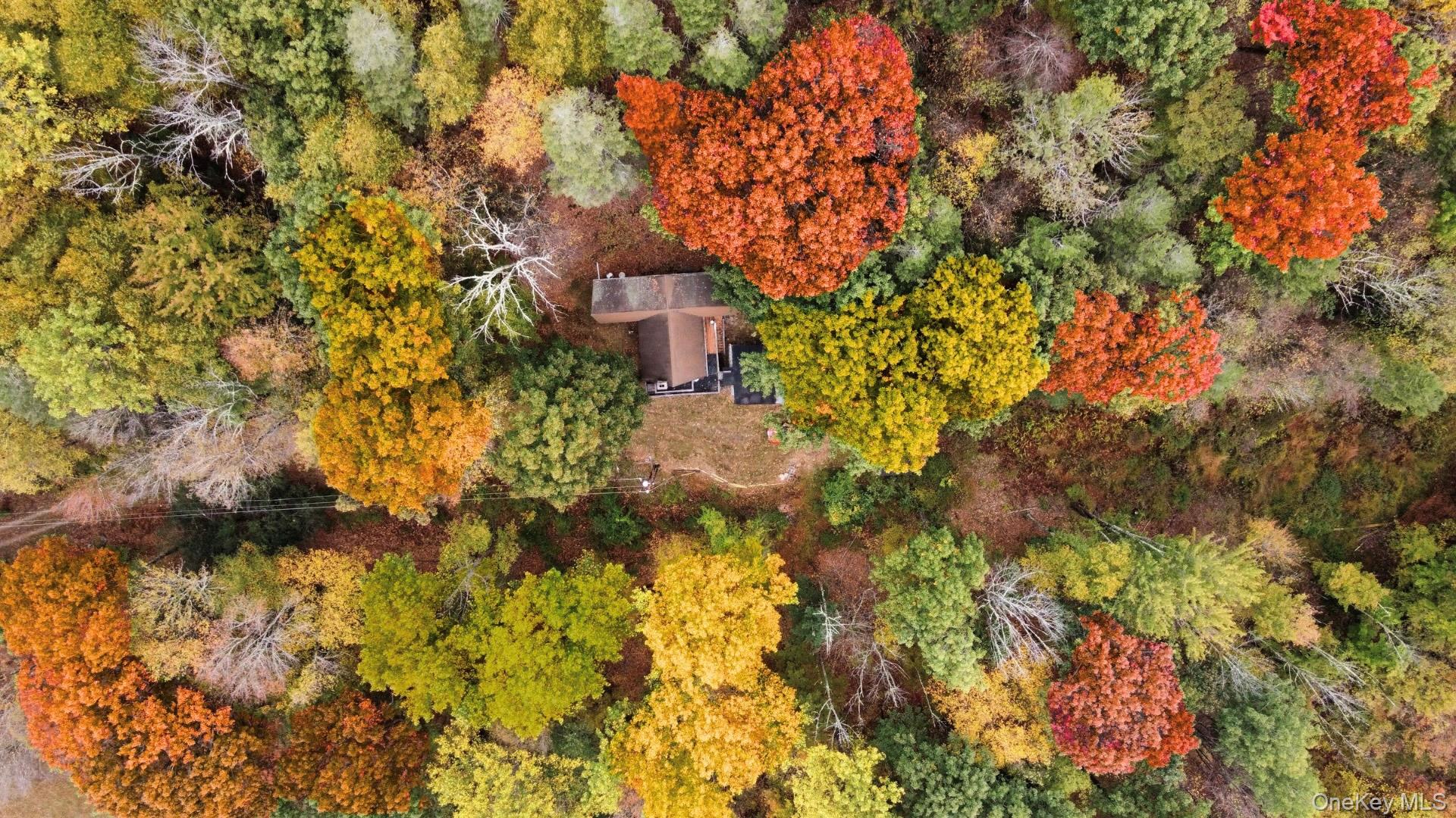 #6 photo, 442 Main Street, Grahamsville , NY 12740