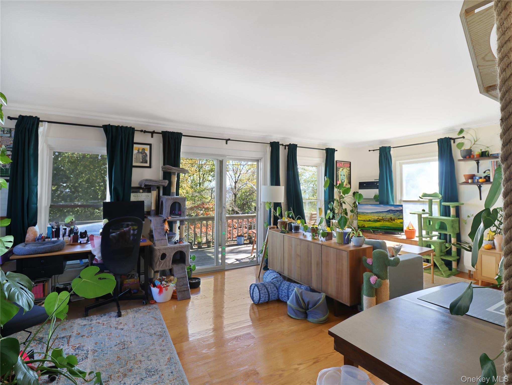 #20 photo, 52 Gedney Street, Nyack , NY 10960