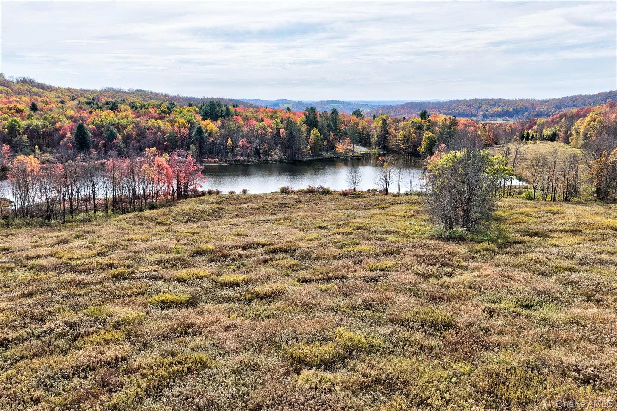 #3 photo, TBD Meadow Lane, Fremont , NY 12736