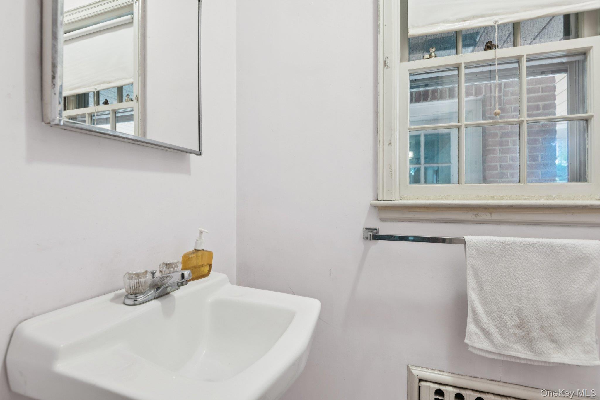 #18 photo, 58 Meritoria Drive, ナッソー郡 East Williston , NY 11596