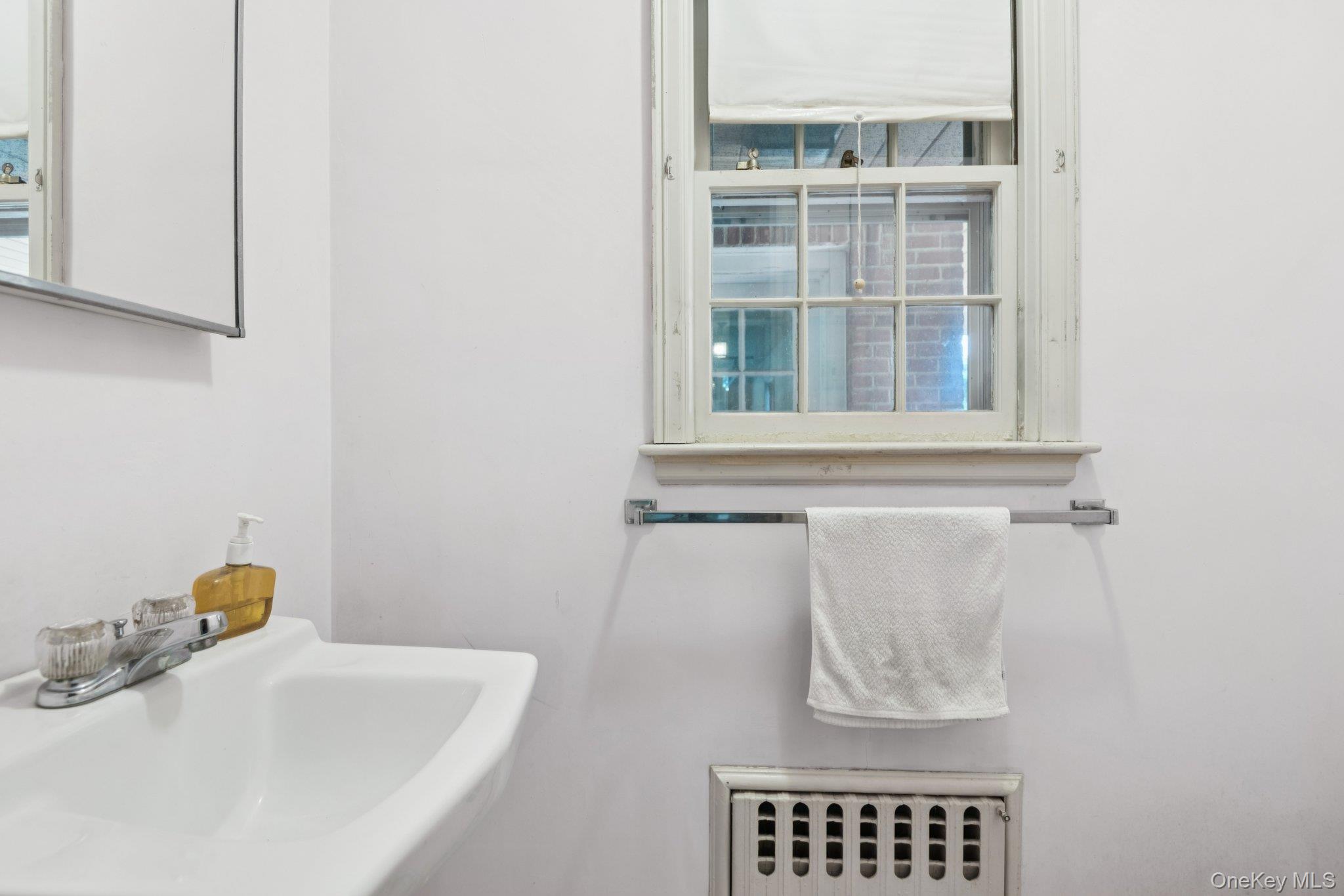 #19 photo, 58 Meritoria Drive, ナッソー郡 East Williston , NY 11596