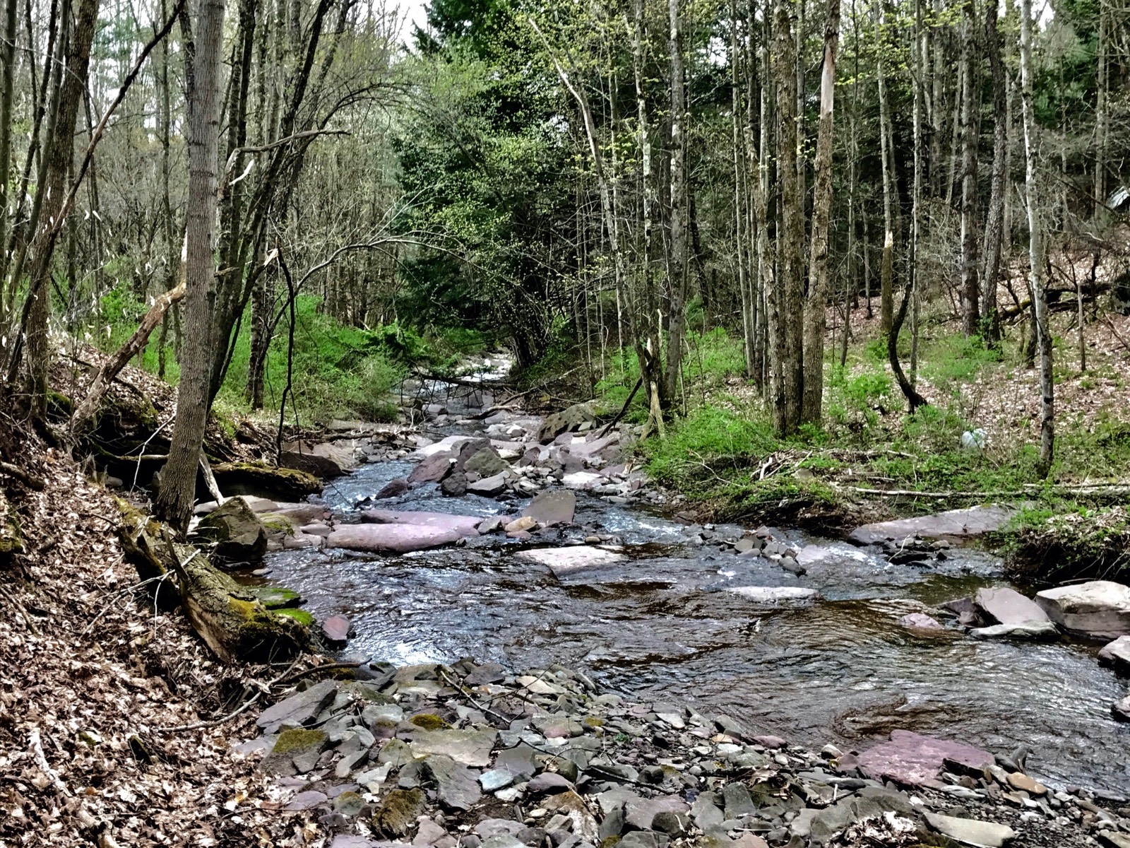 #10 photo, 0 Co Hwy 14, New Lisbon , NY 13810