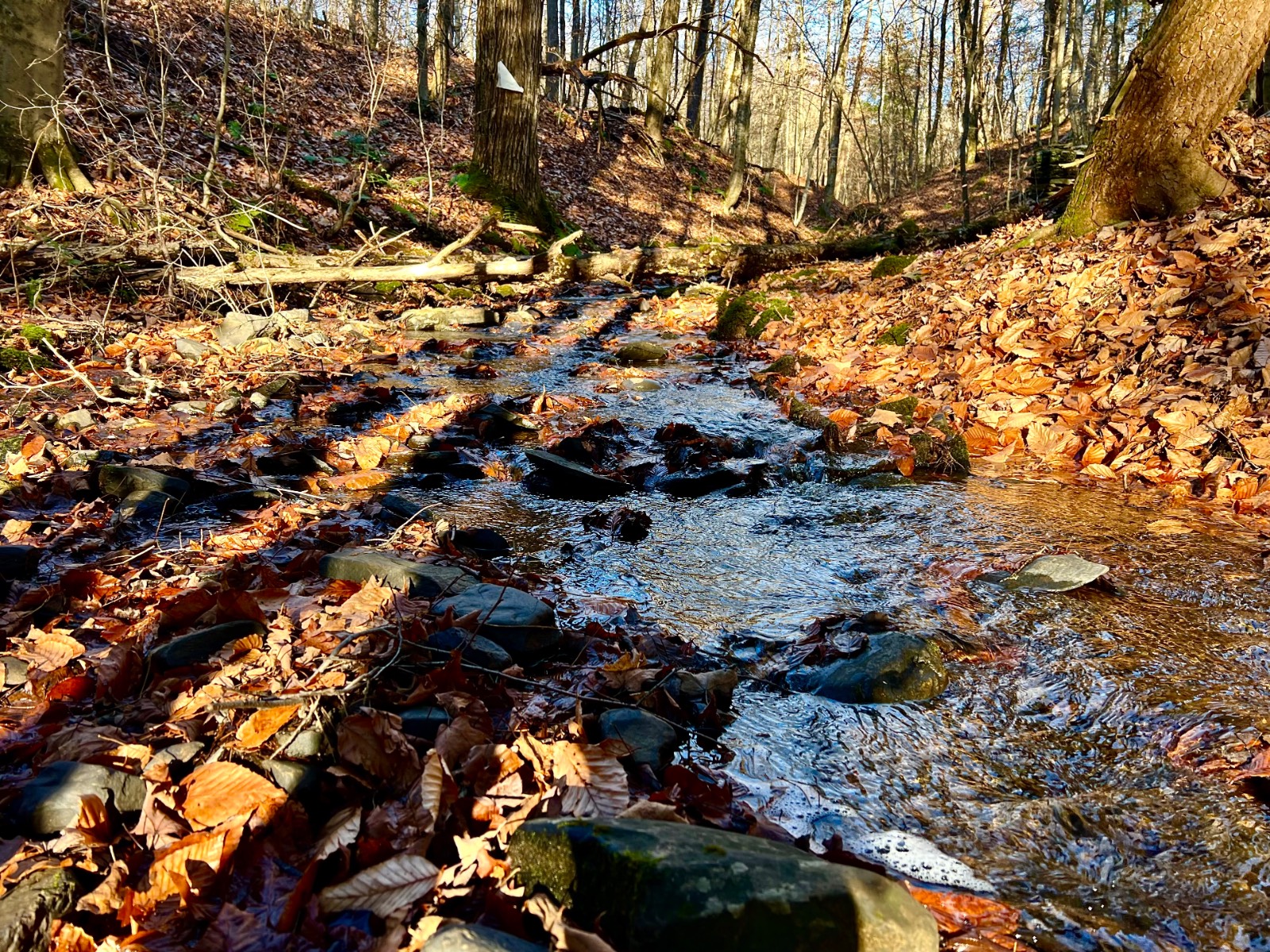 #11 photo, 0 Co Hwy 14, New Lisbon , NY 13810