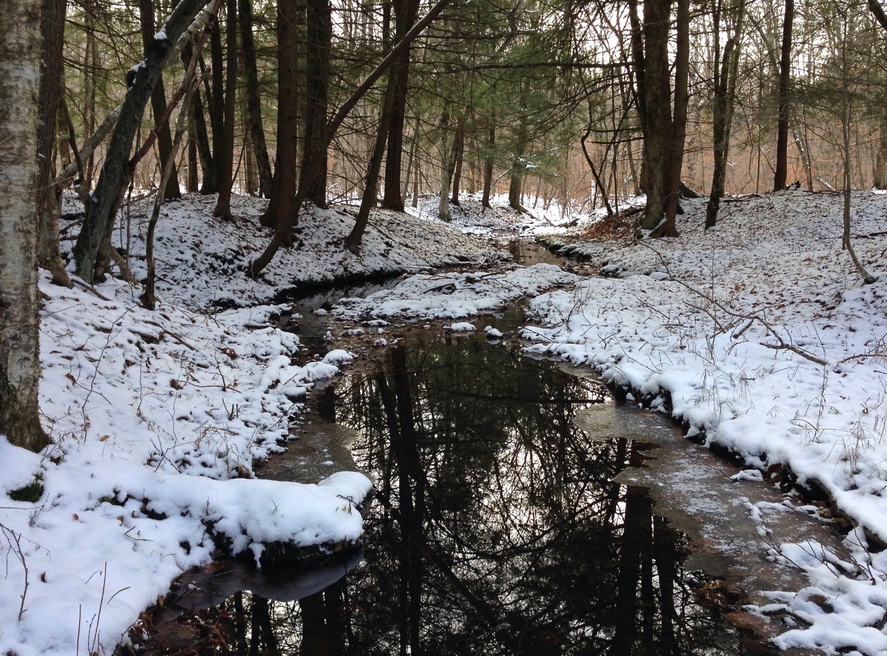 #12 photo, 0 Co Hwy 14, New Lisbon , NY 13810