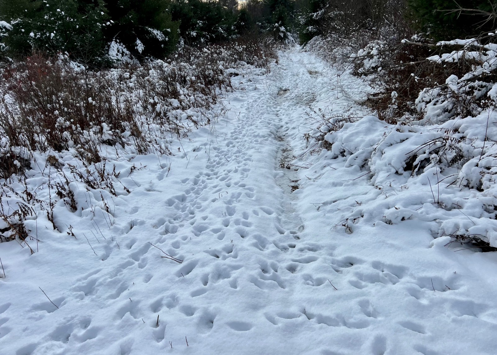 #13 photo, 0 Co Hwy 14, New Lisbon , NY 13810