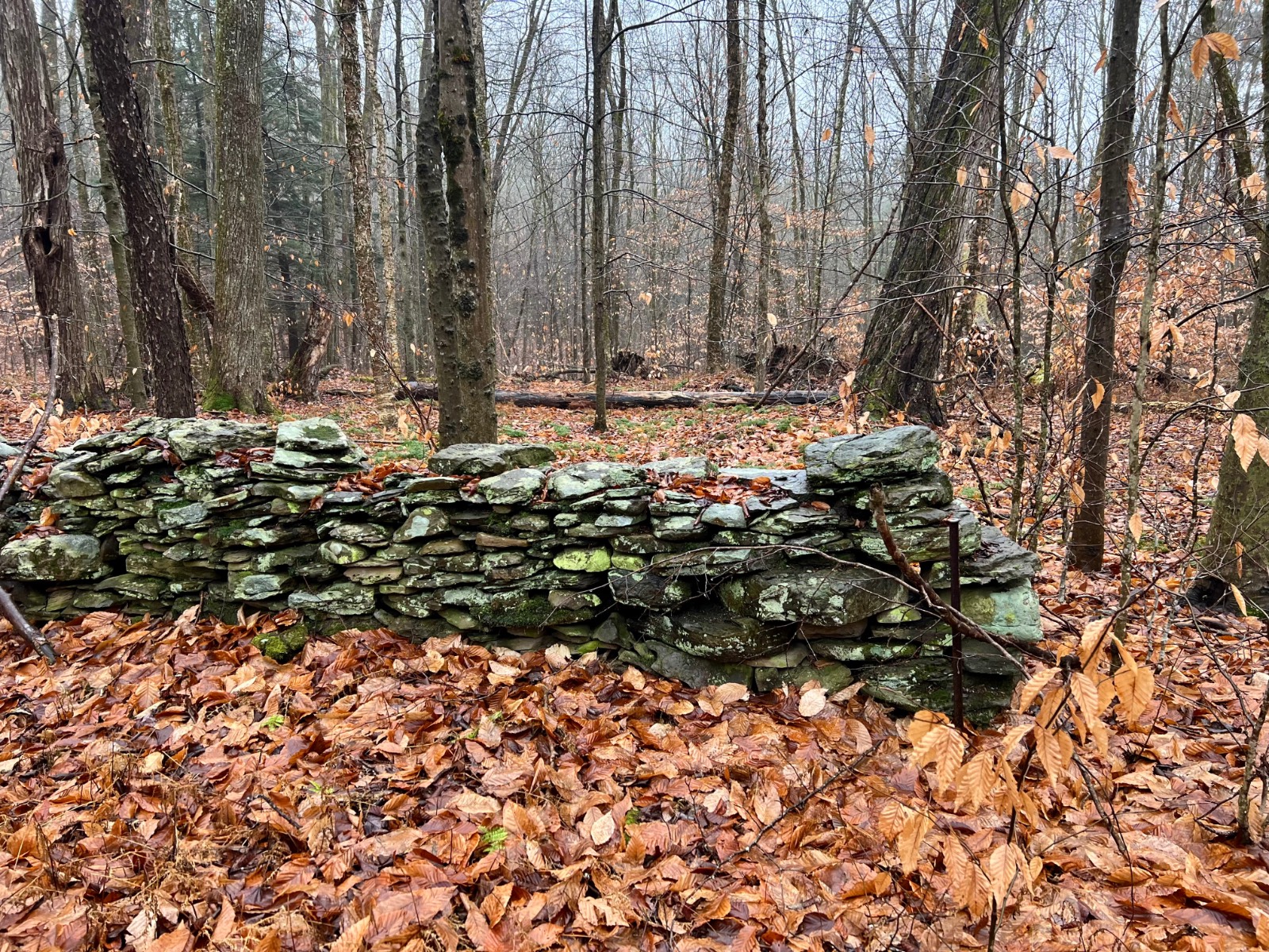 #14 photo, 0 Co Hwy 14, New Lisbon , NY 13810