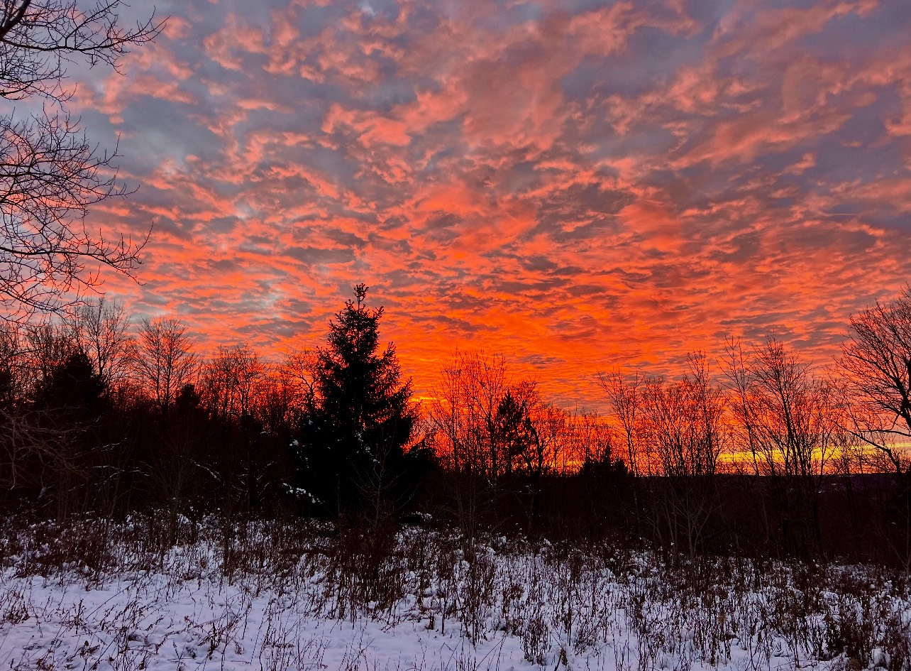 #15 photo, 0 Co Hwy 14, New Lisbon , NY 13810