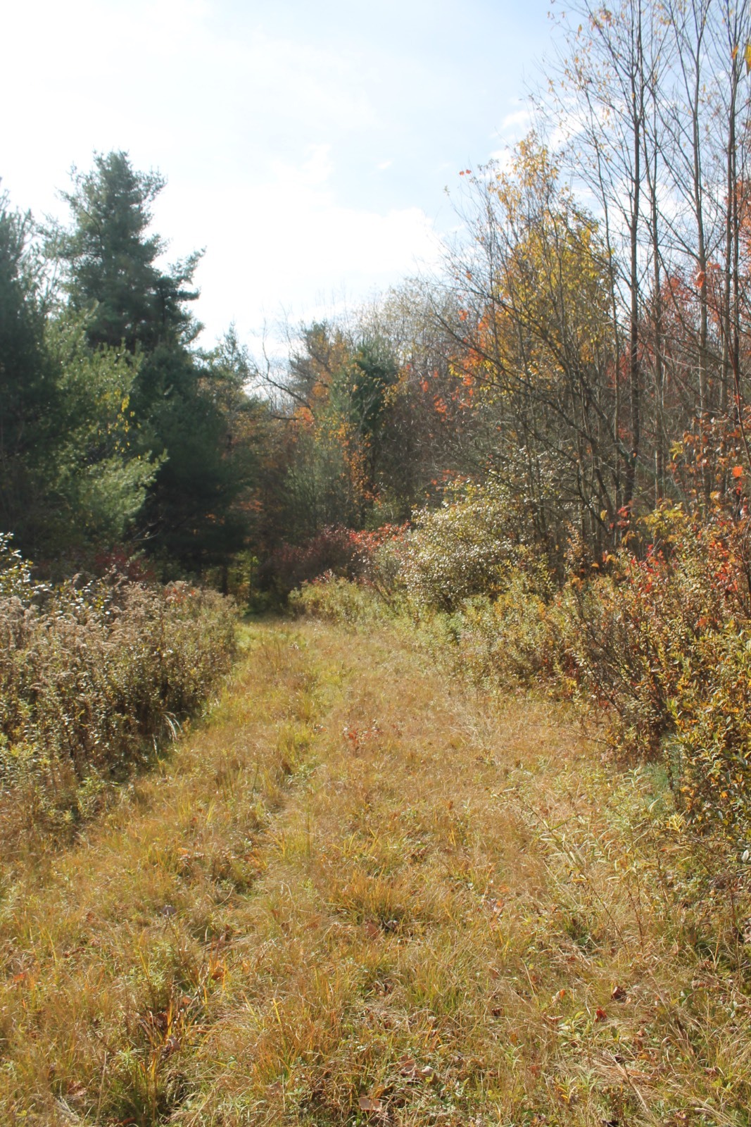 #2 photo, 0 Co Hwy 14, New Lisbon , NY 13810