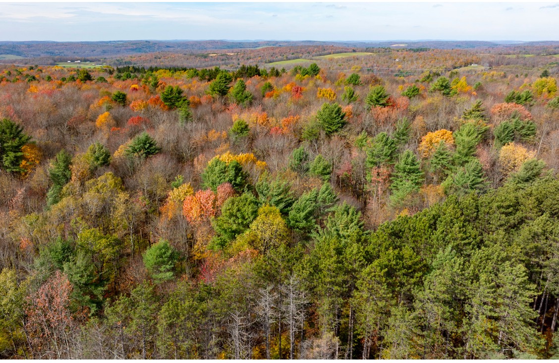 #24 photo, 0 Co Hwy 14, New Lisbon , NY 13810