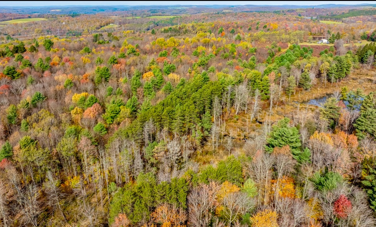 #25 photo, 0 Co Hwy 14, New Lisbon , NY 13810