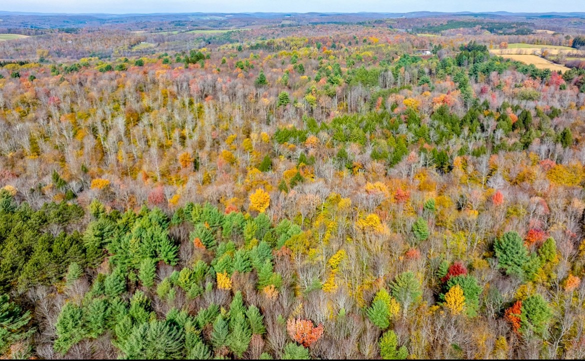 #26 photo, 0 Co Hwy 14, New Lisbon , NY 13810