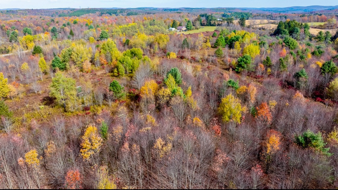 #27 photo, 0 Co Hwy 14, New Lisbon , NY 13810