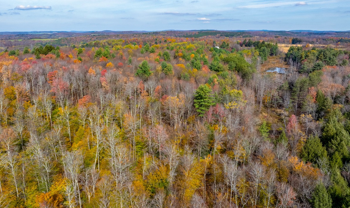 #28 photo, 0 Co Hwy 14, New Lisbon , NY 13810