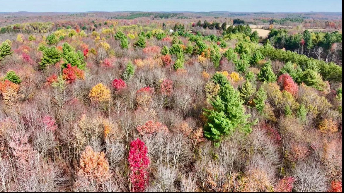 #29 photo, 0 Co Hwy 14, New Lisbon , NY 13810